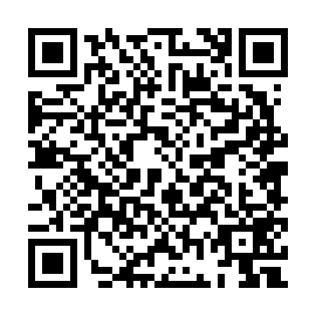 QR code for plate HGT-6596