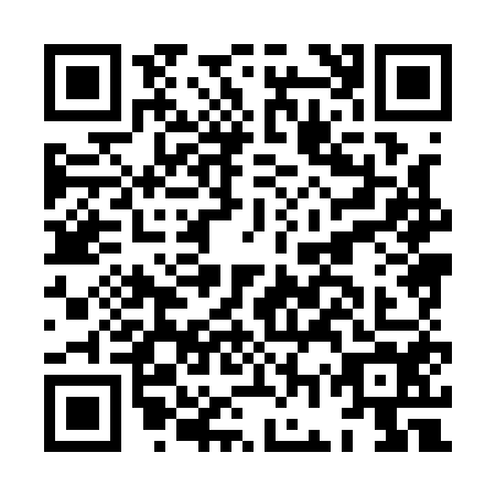 QR code for HGX-1541