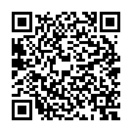QR code for HIE-2163