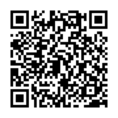 QR code for HII1228