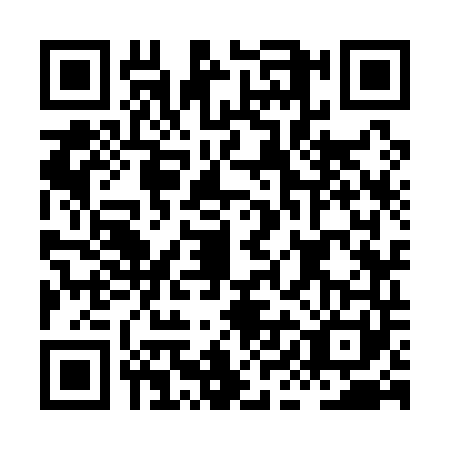 QR code for plate HIK-1411