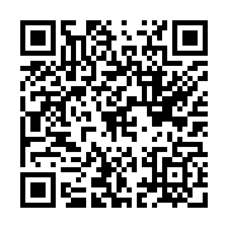 QR code for HIN-9696