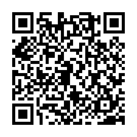 QR code for plate HIN-0348