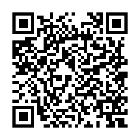 QR code for HIP-9563