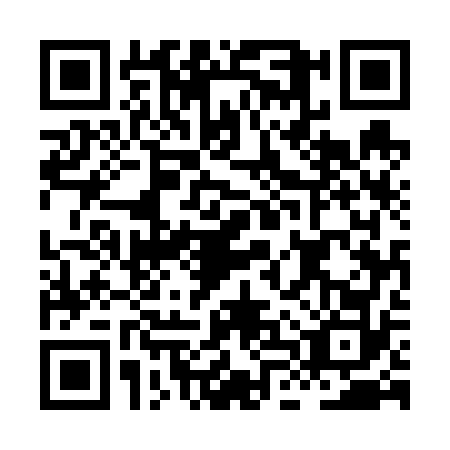 QR code for HLU-6728