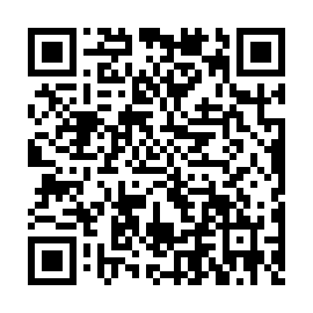 QR code for HNN-1225
