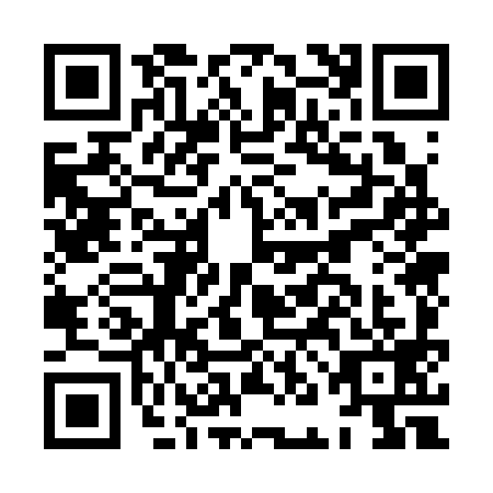 QR code for HNO-3993