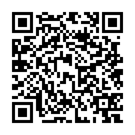 QR code for HNR-0341