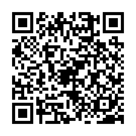 QR code for plate HNV-2210