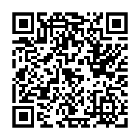 QR code for HNY-6575