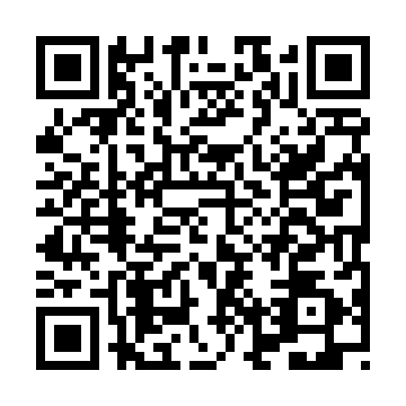 QR code for HNY4825