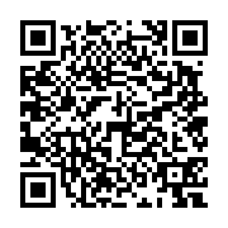 QR code for HOG-4307