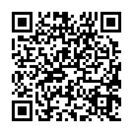 QR code for plate HOG-3432