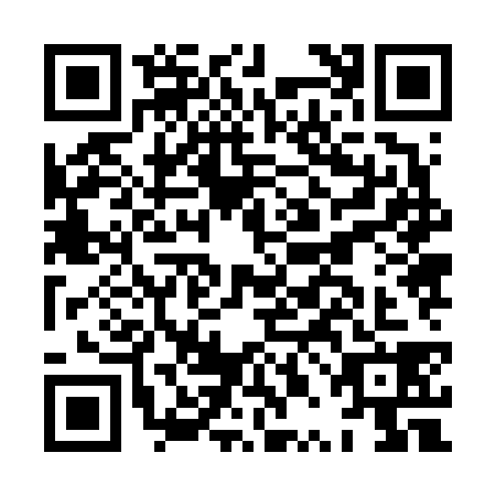 QR code for HPJ6384