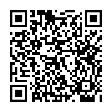 QR code for plate HPQ-4729