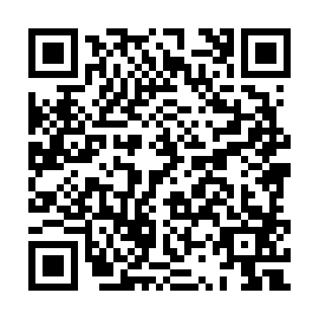 QR code for plate HSX-6838