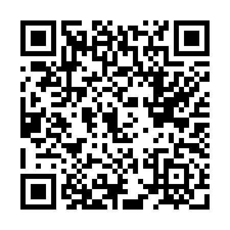 QR code for plate HWC-3919
