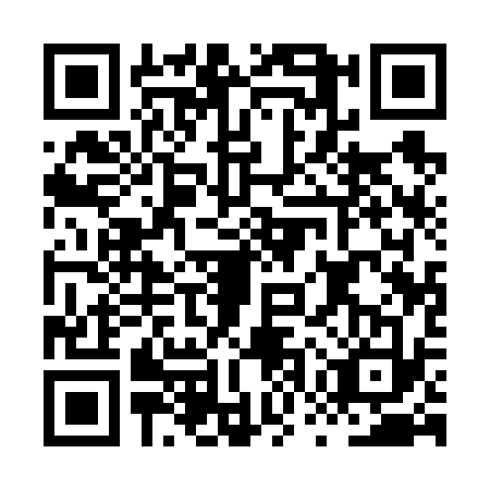 QR code for HWQ-6333