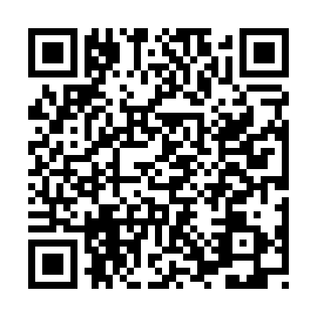 QR code for HWT0317