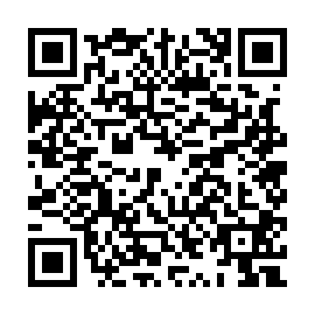 QR code for plate HYG-1004