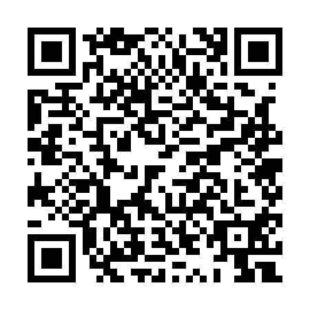 QR code for plate HYG-1100