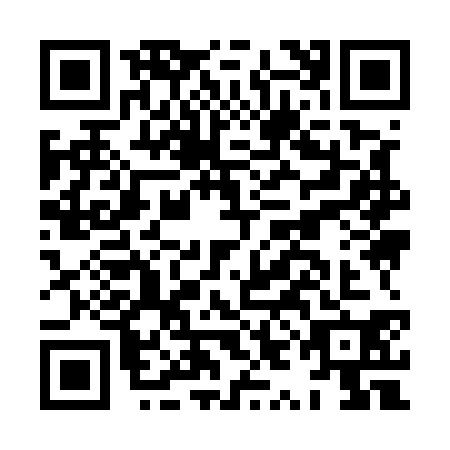 QR code for plate HYI-5301