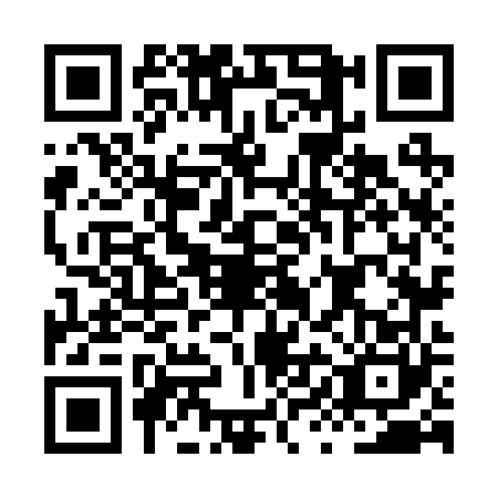 QR code for plate HYN-2600