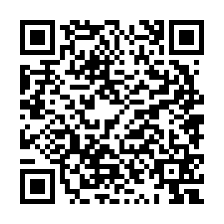 QR code for plate HYN-6616