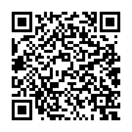 QR code for HYV3238