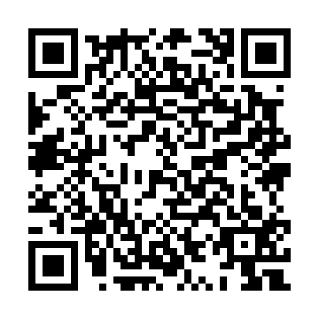 QR code for HYY-0137