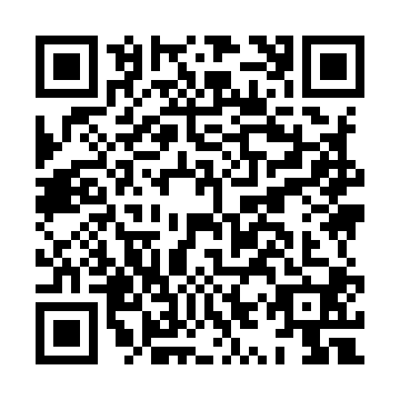 QR code for plate HYY-9008