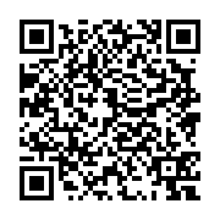 QR code for plate HZH-0313