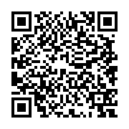 QR code for plate HZN-4338