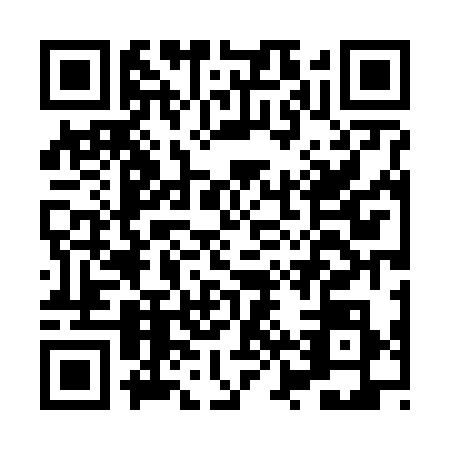 QR code for HZT6385