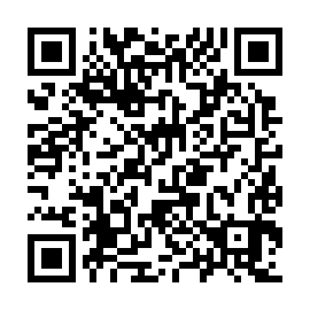 QR code for I06383