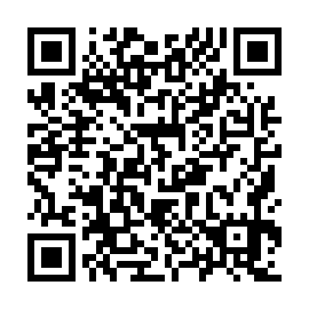 QR code for I09575