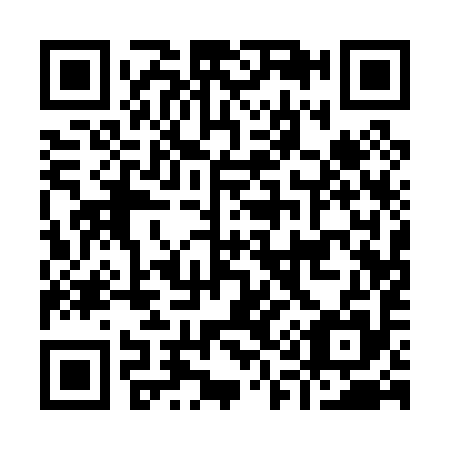 QR code for I11095