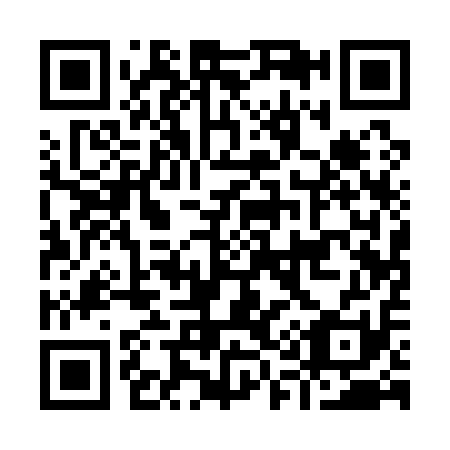 QR code for I11111