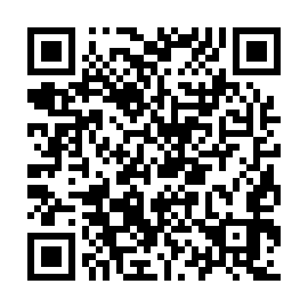 QR code for I13153