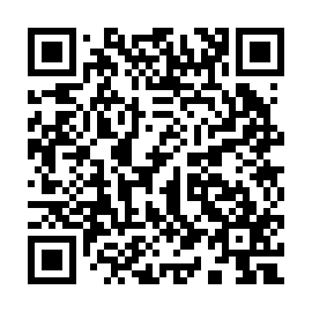QR code for I13217