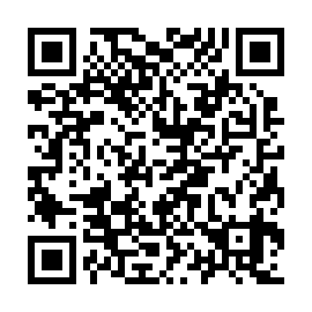 QR code for I13239