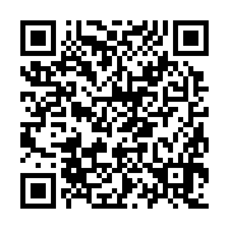 QR code for I13394