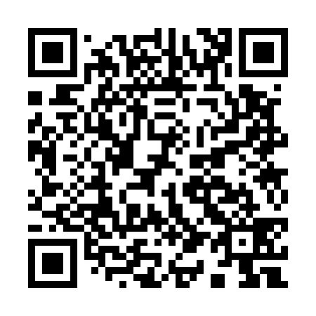QR code for I13539