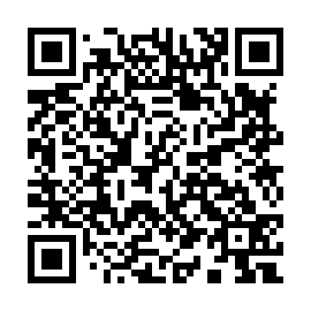 QR code for I13833