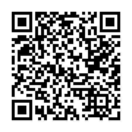 QR code for I15313