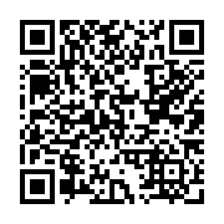 QR code for I16381