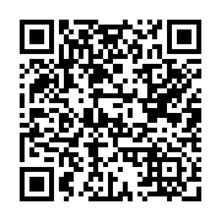 QR code for I17313