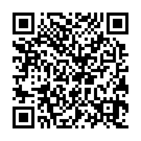 QR code for I17335