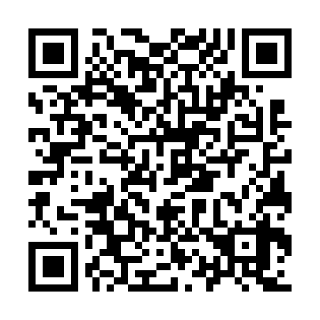 QR code for I17638