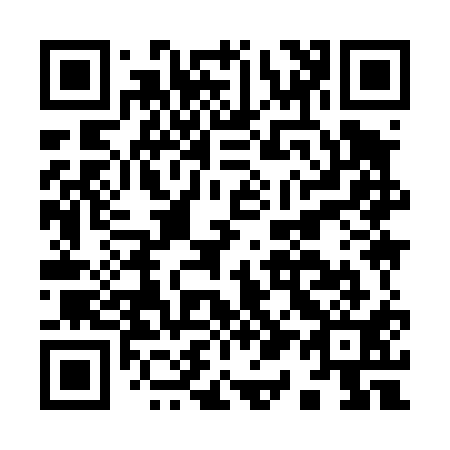 QR code for I19411